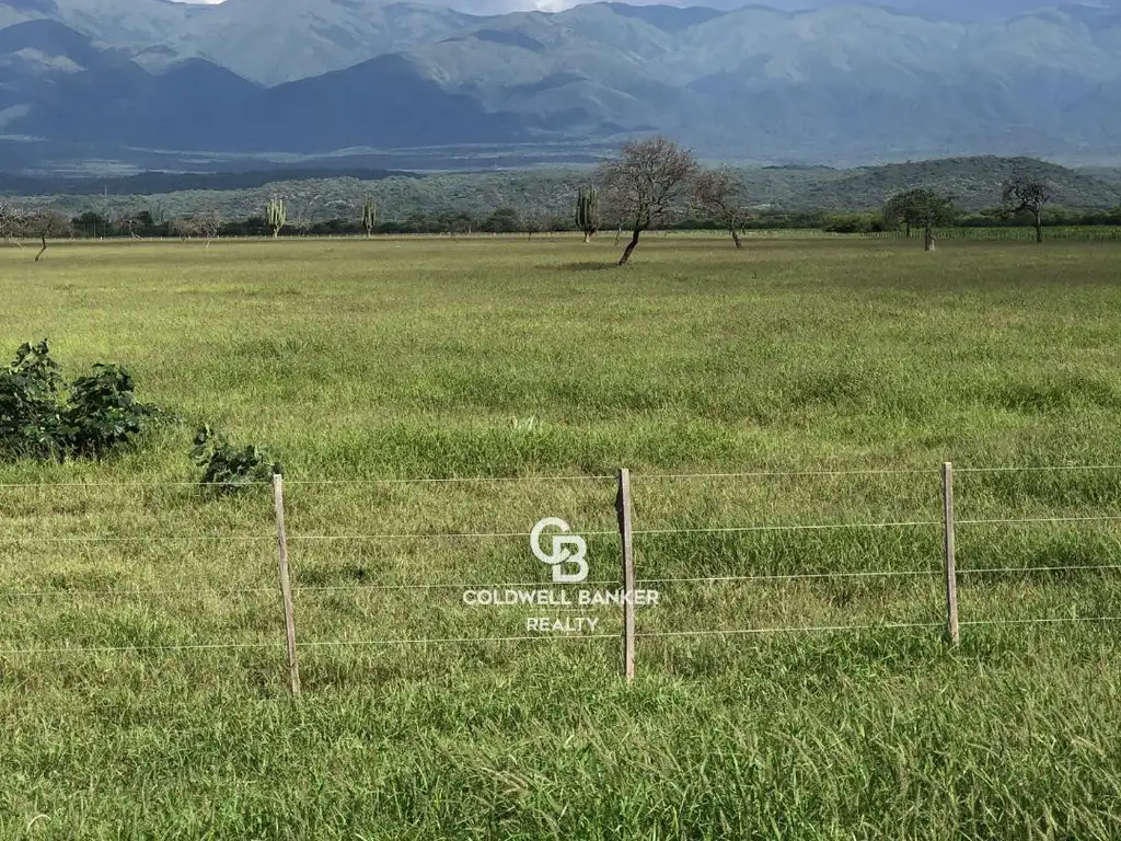 Finca en Salta sobre Ruta Nacional 68 camino a Cafayate.  Con escritura.