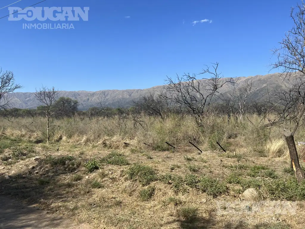 Terreno en  Carpintería