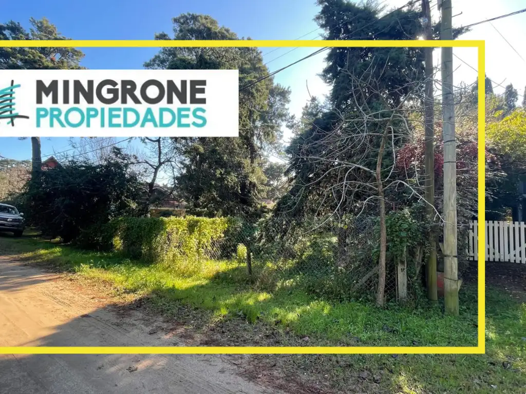 Cod 397 – Lote Pinedo