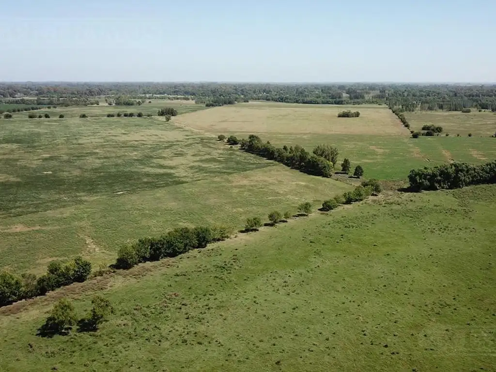 Campo 175 ha en Cardales. Ideal desarrollo