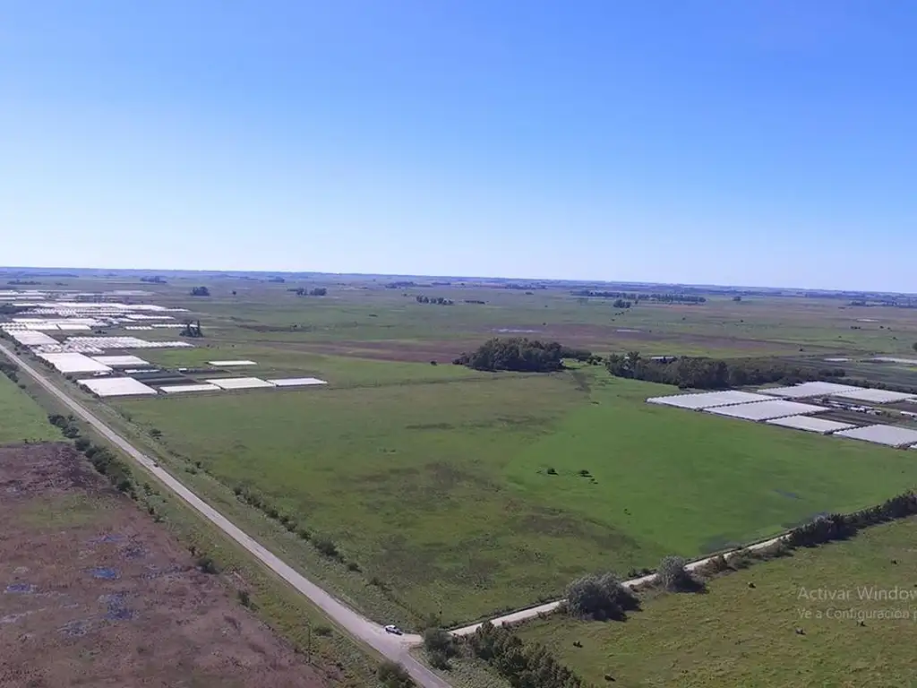 Campo en venta en Magdalena sobre Ruta 36 - Dacal Bienes Raices