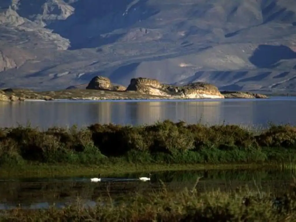 Campo - Lago Posadas