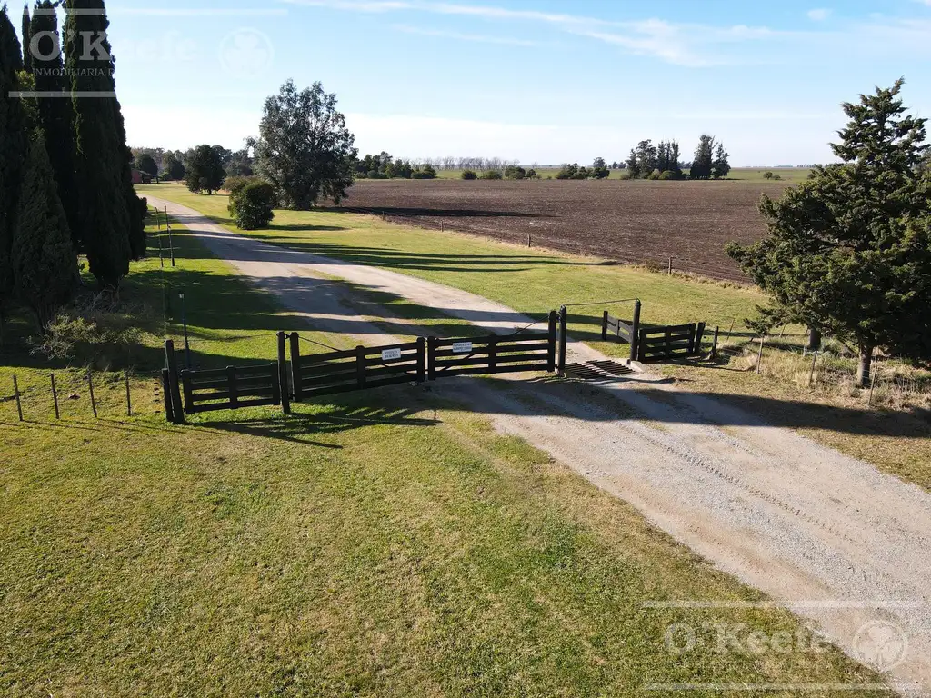 Campo de 1520 Has en venta - 80% Agrícolas con mejoras en Lobería