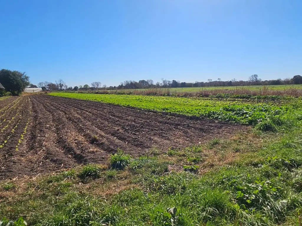 Campo en Venta en Colonia Caroya, Córdoba!