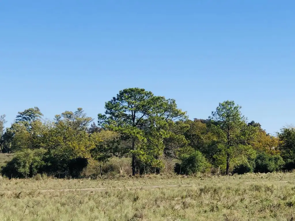 LOTE EN EL PASO FINANCIADO - DEL VISO, PILAR