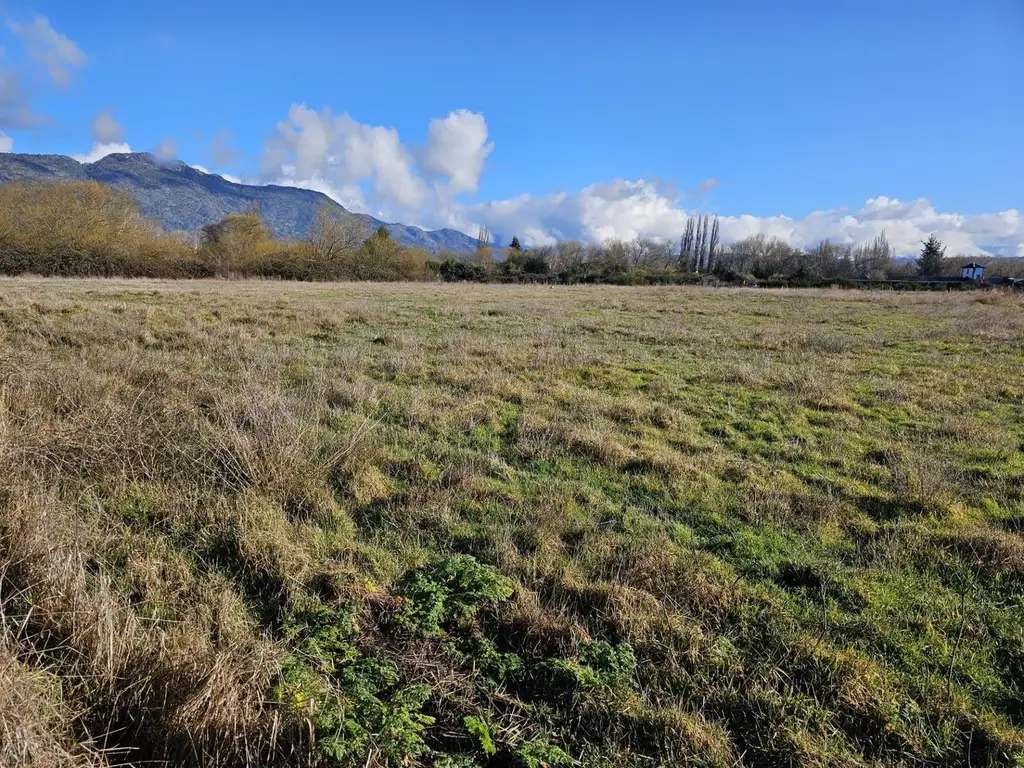 Una hectárea a 150 mts² de Ruta 40 - Con amplio Potencial!