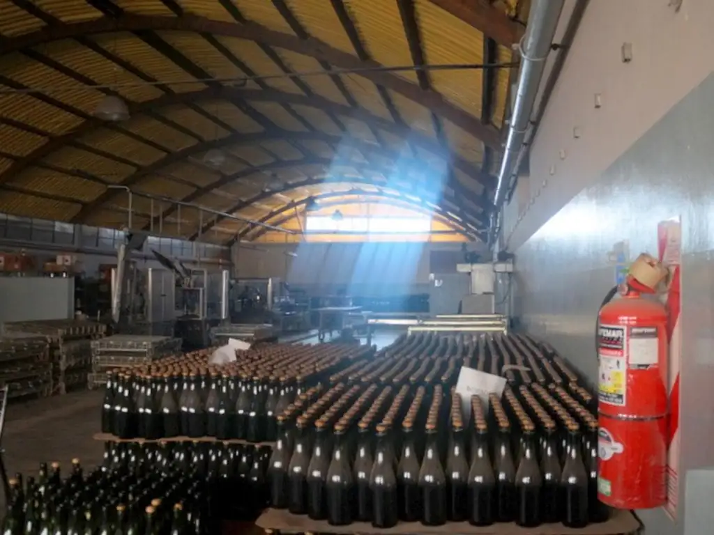 BODEGA DE VINOS EN VENTAON GALPONES INCLUIDOS