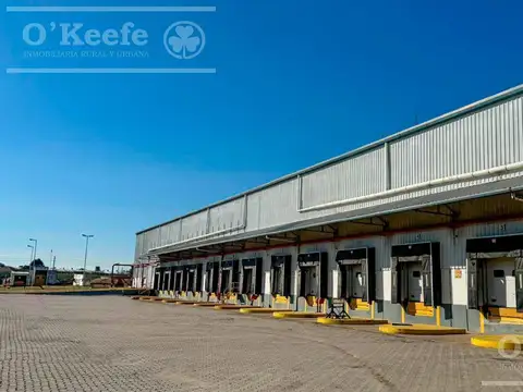 ALQUILER - Predio Logistico e Industrial en Garín - Escobar - GBA Zona Norte - 41.500m2 15.500m2 cub