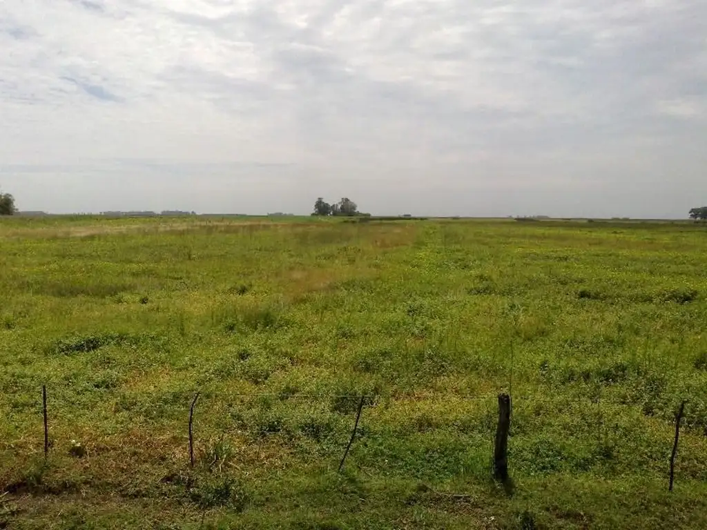 VENDO CAMPO DE 300 HA.