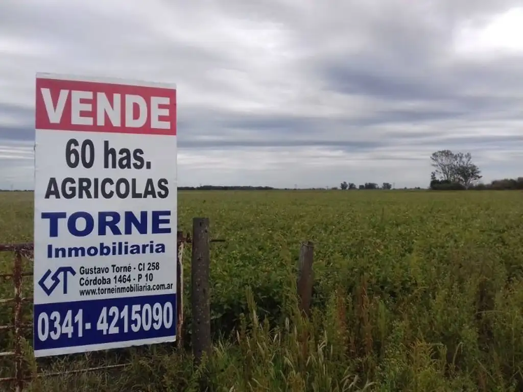 60 Ha agrícolas sobre pavimento en R10 Serodino