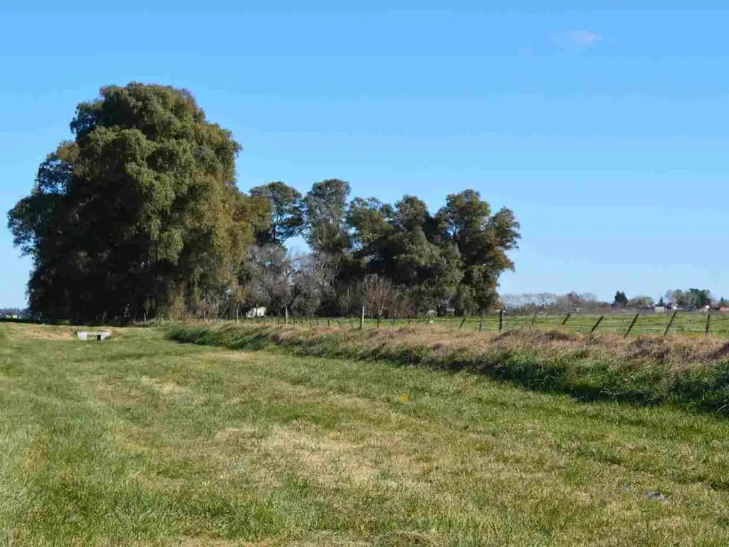 17 ha sobre Ruta 205 - Cañuelas