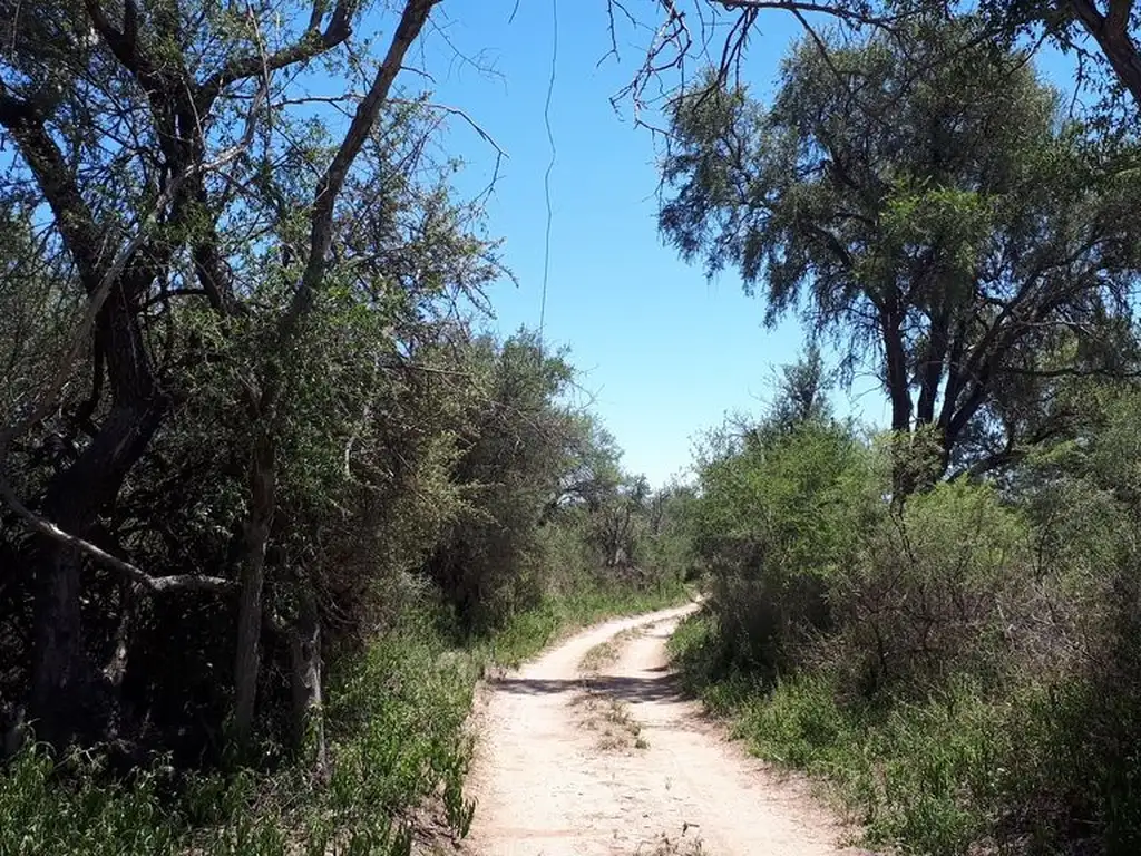 Vendo lotes con hermosa vegetación desde 1.000m² en el Rincón, San Marcos Sierras