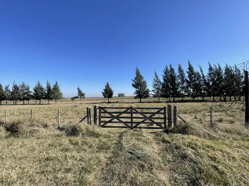 Campo en  La Plata Ruta 2 Km 81