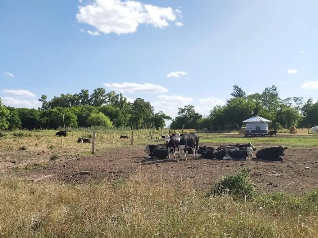 Venta Campo  en Lobos 16 has - Paraje Las Chacras