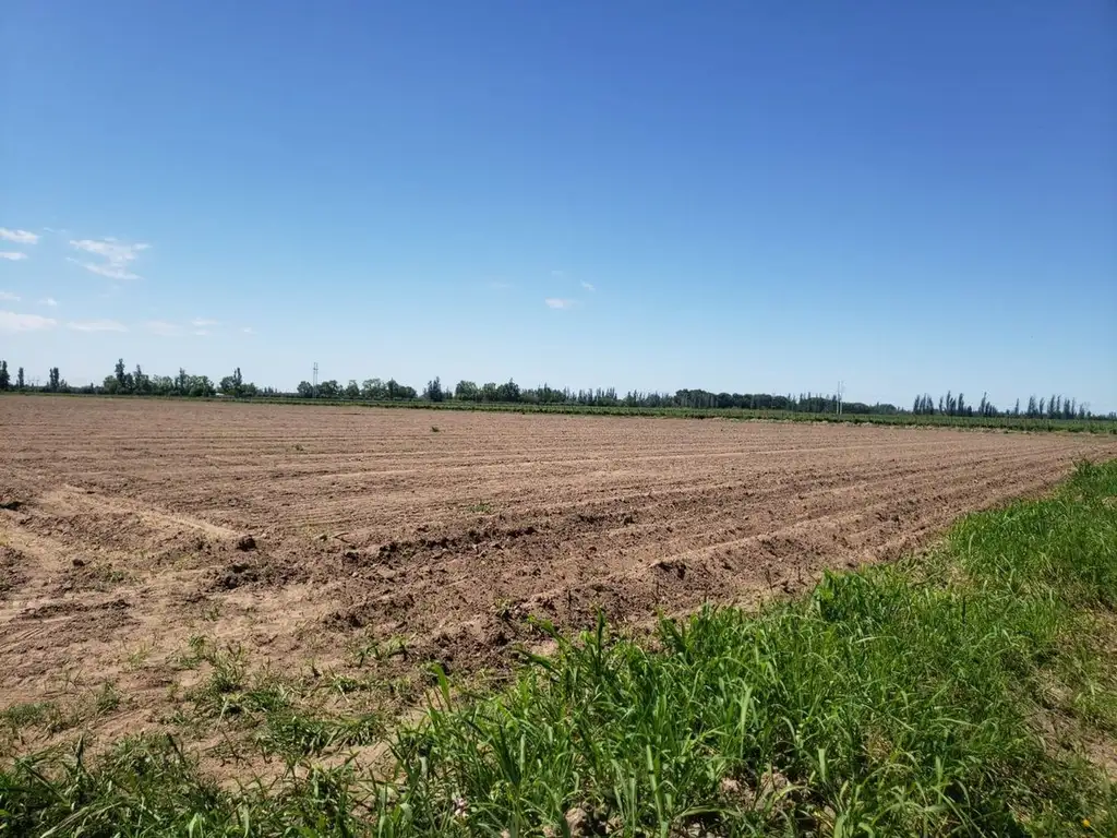 TERRENO DE 6 HAS PARA DESARROLLO MAIPU