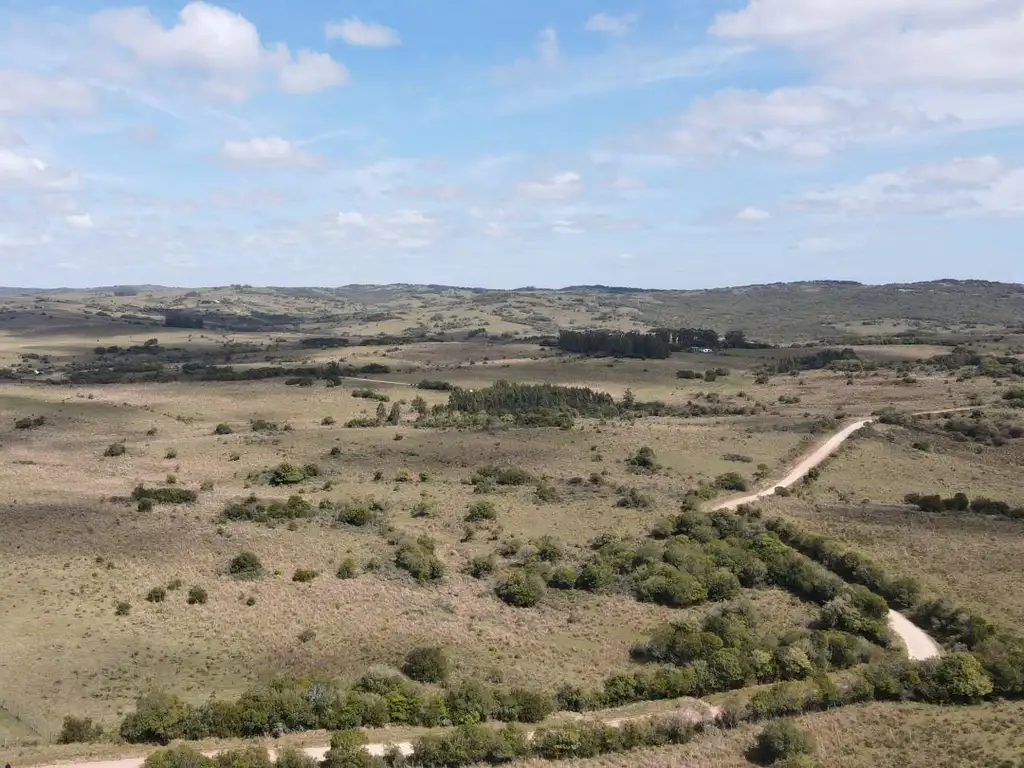 Campo de 50 ha ganadero en Maldonado, Garzon