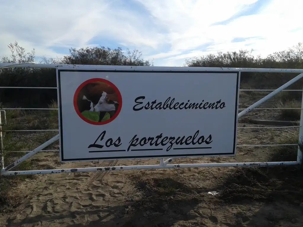 VENTA CAMPO GANADERO 5522 HECTAREAS, SAN RAFAEL,MENDOZA