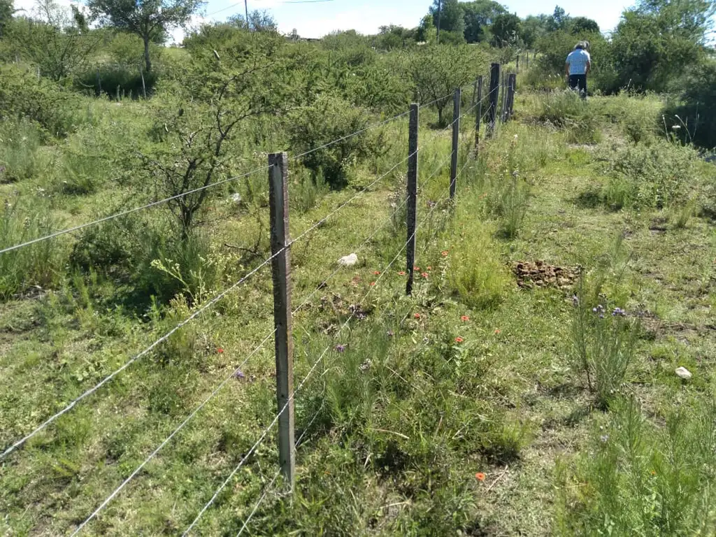 Lote De 10.000 M2 Alambrado, Listo Para Construir