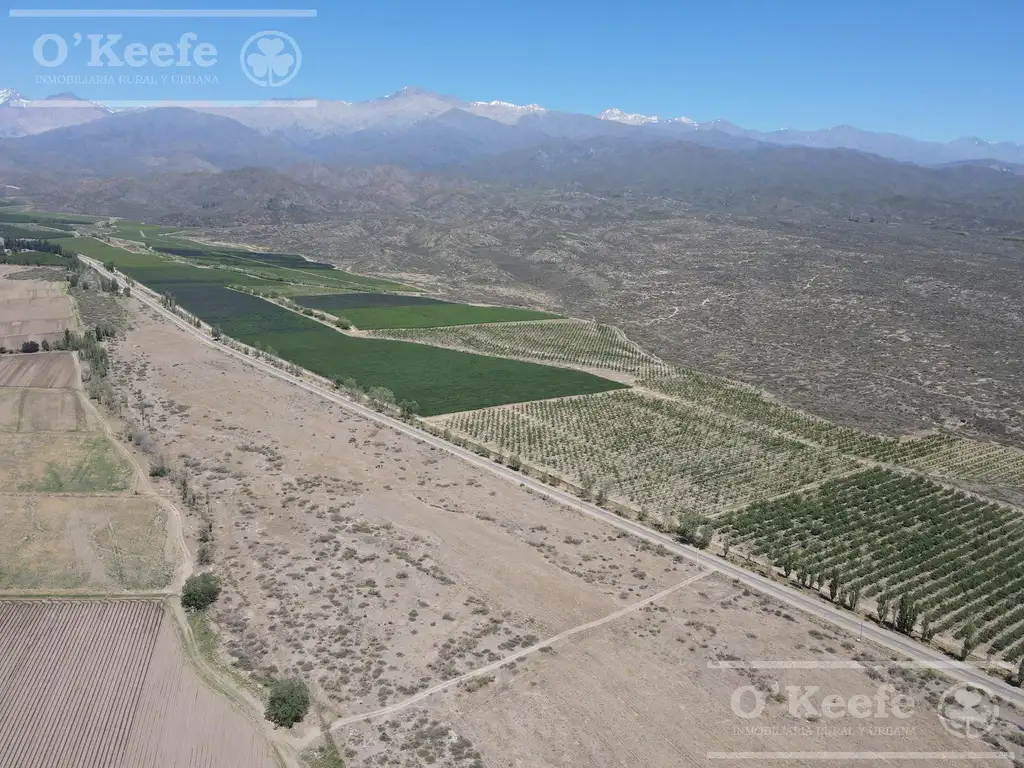 Campo en Venta de 30.000 has ideal proyecto inmobiliario Valle de Uco Mendoza