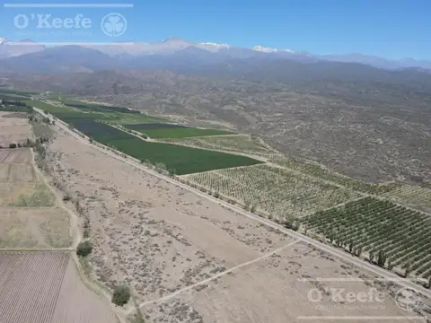 Campo en Venta de 30.000 has ideal proyecto inmobiliario Valle de Uco Mendoza