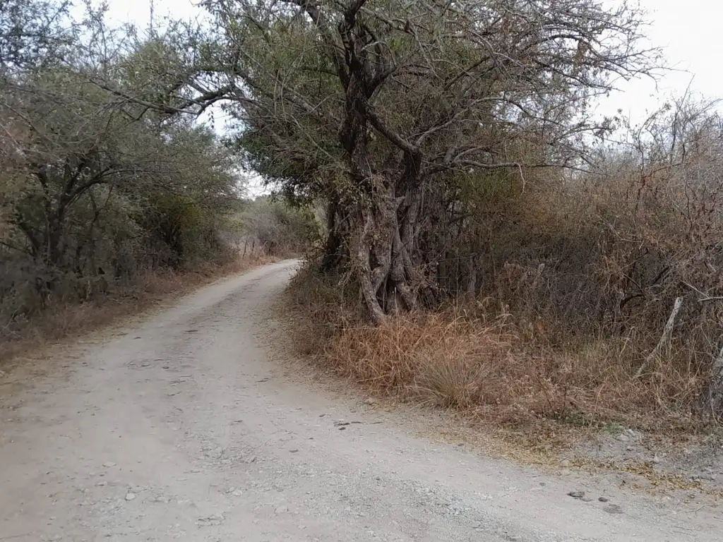 LOTE EN CRUZ DE CAÑA