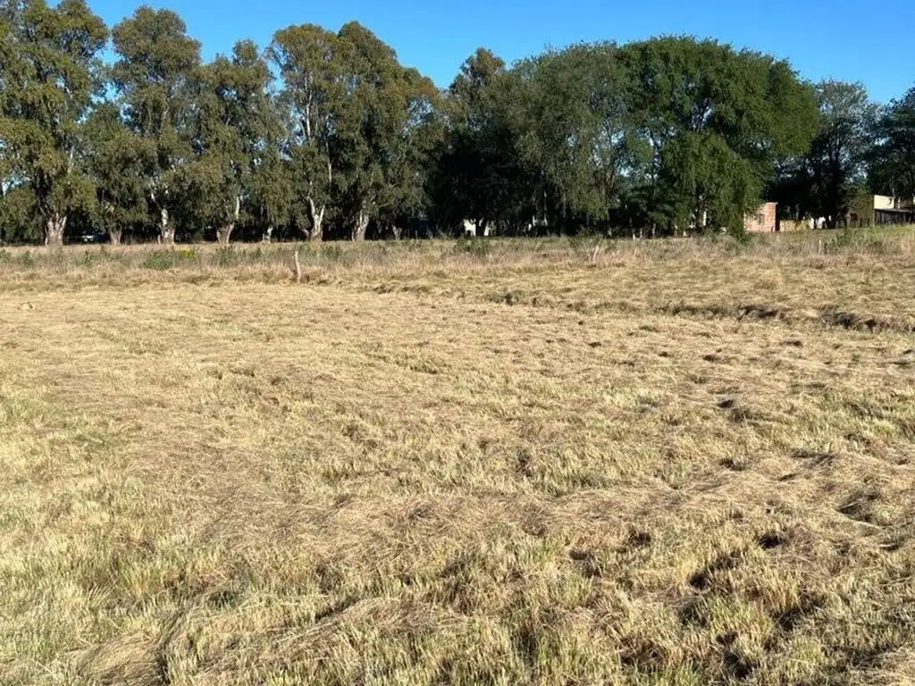 Terreno en Torrella e/ La Plata y Moore - Macachín