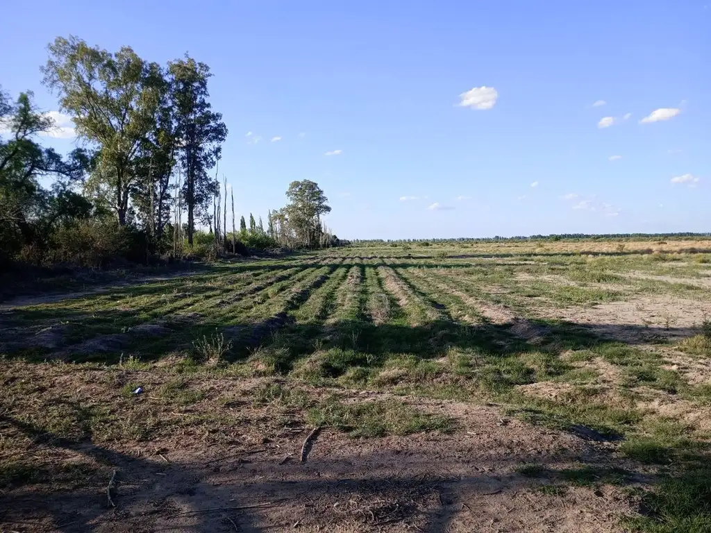 Campo en venta - La Paz