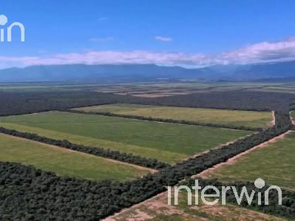 Campo de 838 has en El Acheral - San Pedro - Pcia. de Jujuy