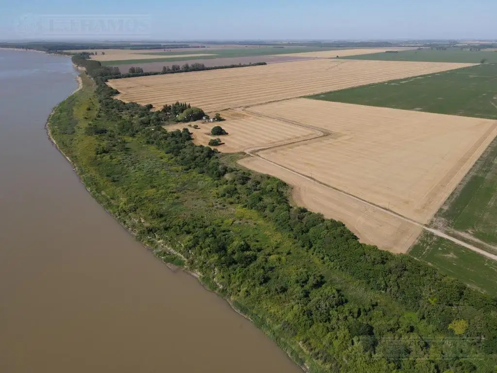 409 ha agrícolas. Timbúes, Santa Fe. Venta total o parcial.