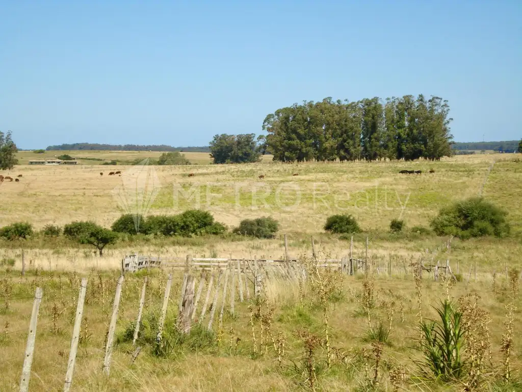 Campo en Venta en Punta del Este - Uruguay - 14 hectáreas