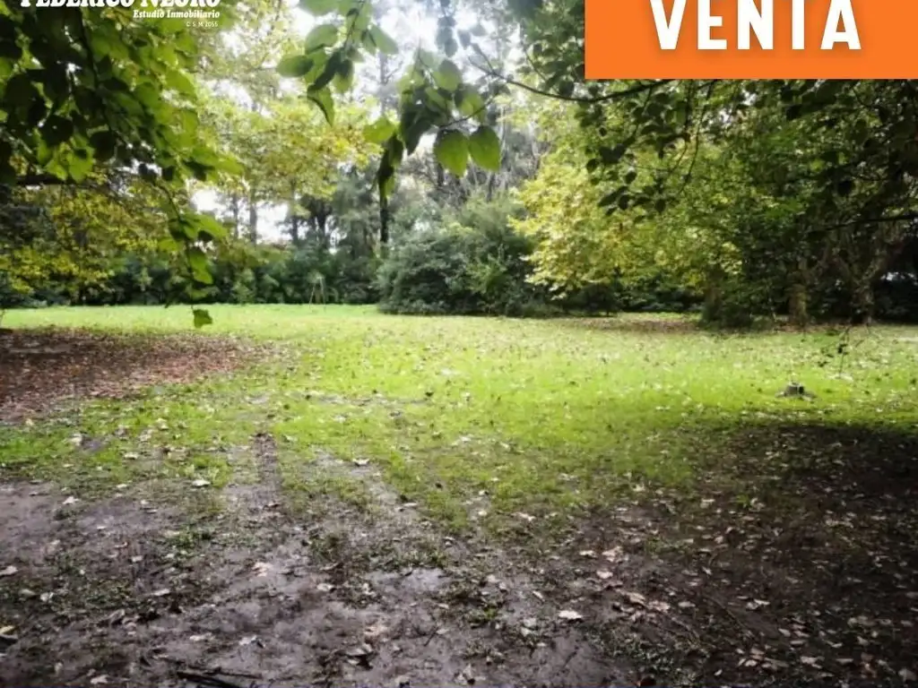 Lote - Venta - Argentina, Muñiz - Constitucion 1110