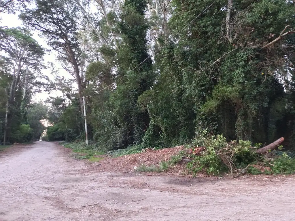 VENTA | TERRENO | BOSQUE PERALTA RAMOS