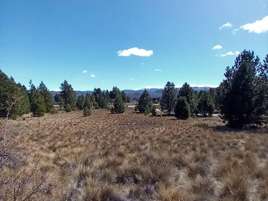 Terreno apto PH Barrio Girasoles del Limay