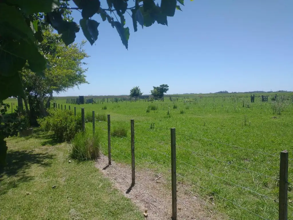 Campo mixto en  Chascomús