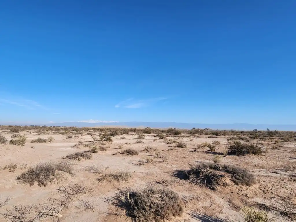 Venta de Campo Lavalle El Vergel Inculto