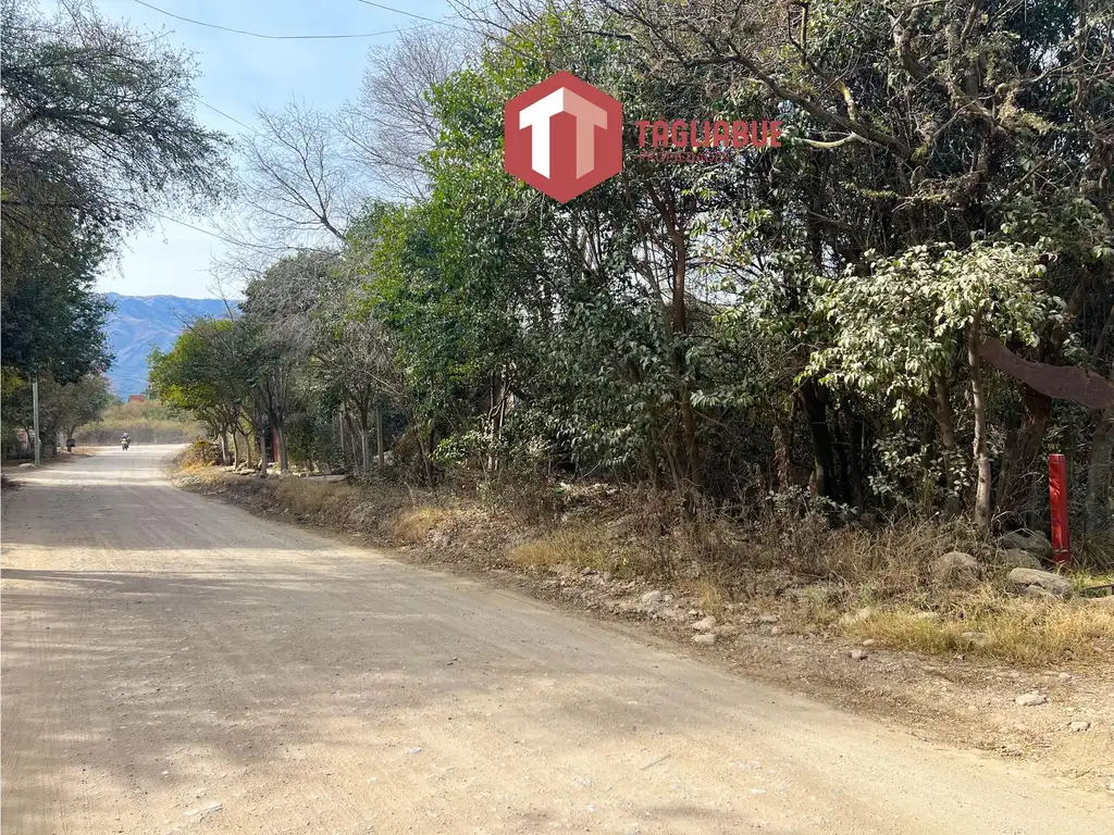 Terreno en  zona Céntrica, Merlo, San Luis