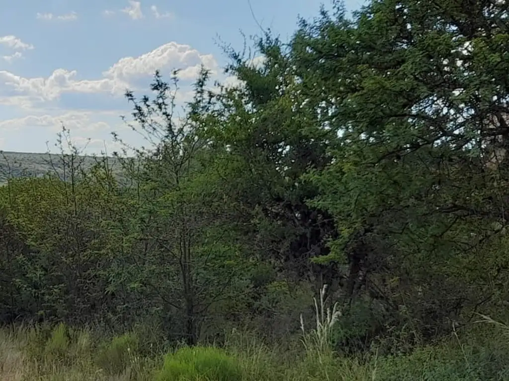 HERMOSOS TERRENOS EN SAN LORENZO