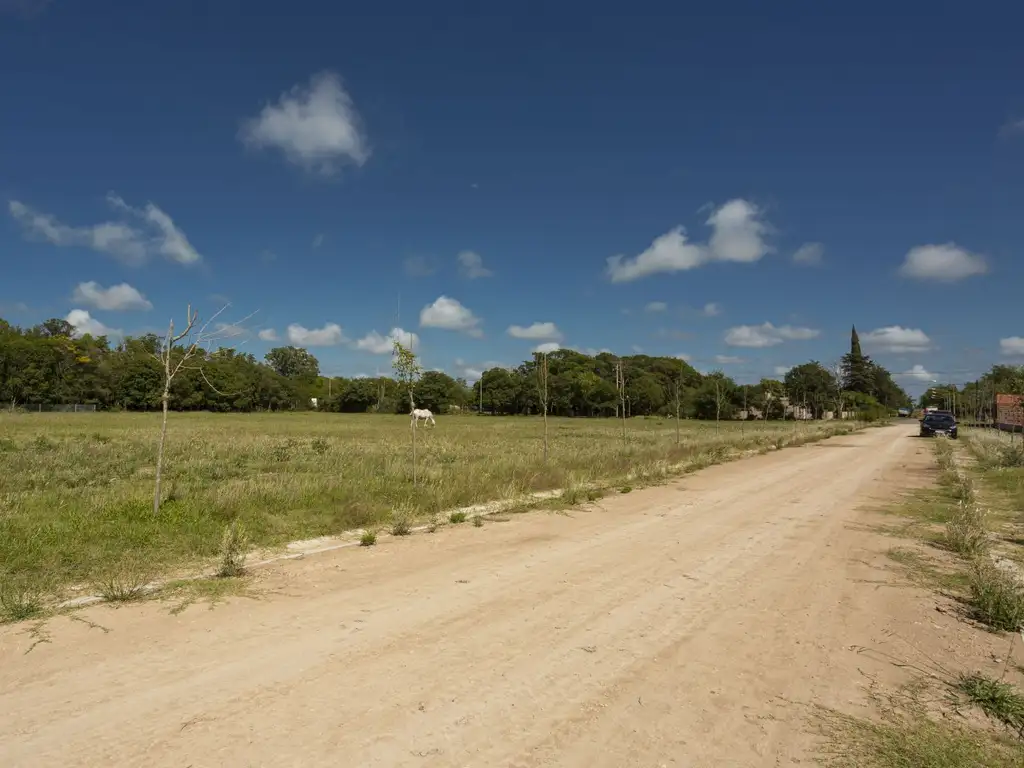 LOTE 35 VILLA CHICA