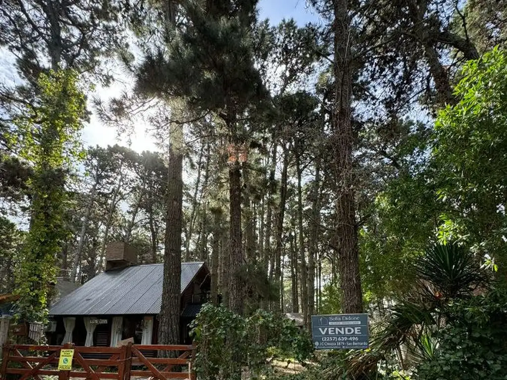 HERMOSO COMPLEJO DE CABAÑAS EN EL PINAR