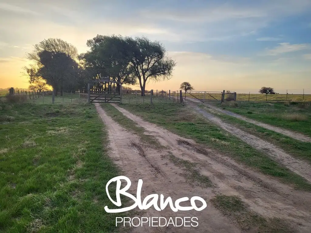 Campo  en Venta en Santa Rosa, La Pampa Capital, La Pampa