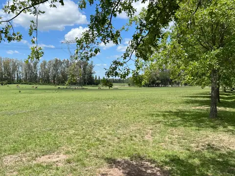 Terreno en Venta - USD 105.000