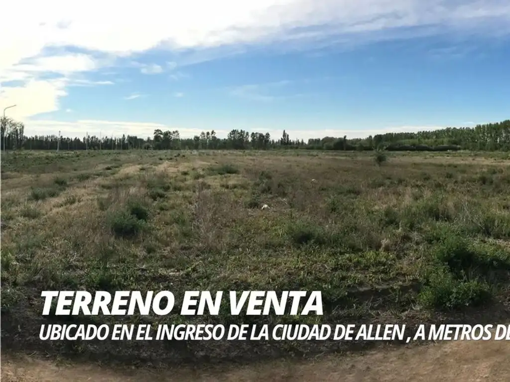 VENTA TERRENO EN ALLEN