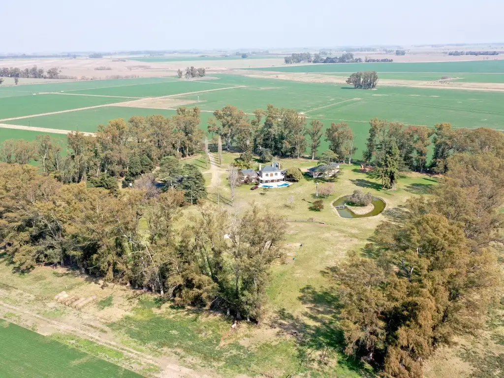 300 Has. Campo agrícola con casco en Sarmiento