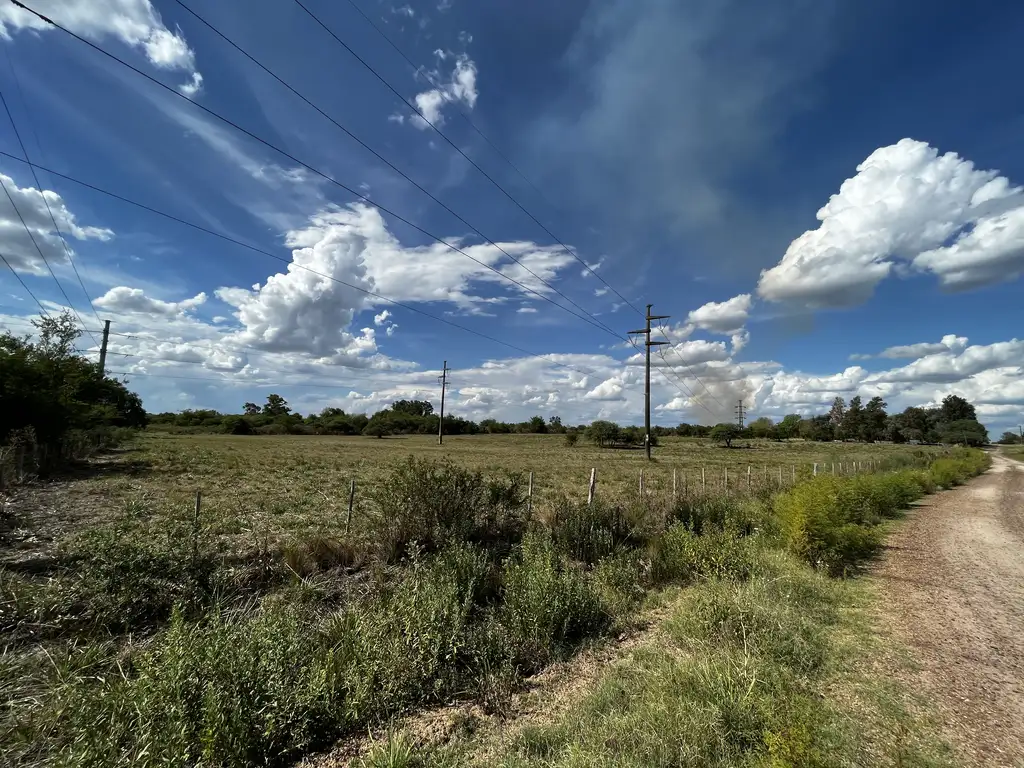 Vendo Campo de 3 hectáreas en Concepción del Uruguay, Entre Ríos.