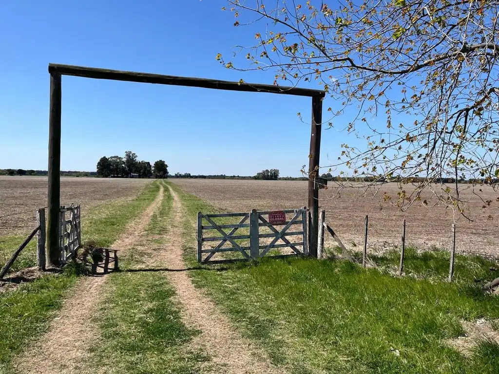 CAMPO AGRICOLA EN VENTA EN BARADERO