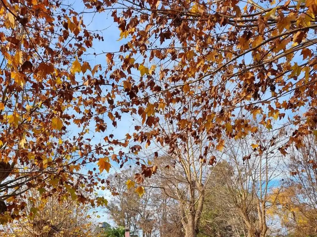 Quinta en  venta en Loma Verde