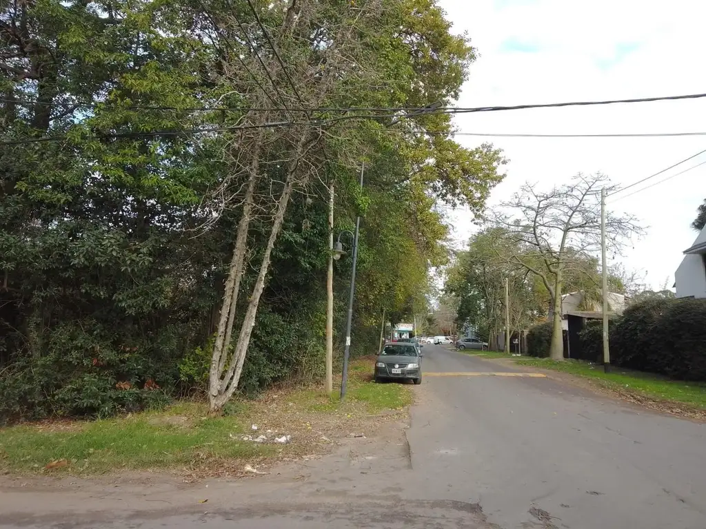 Lotes de terreno baldíos (Lote 25/26/27 y 28)