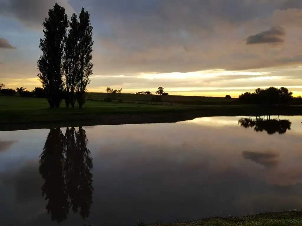 Terreno Campo  en Venta en Colonia, Uruguay