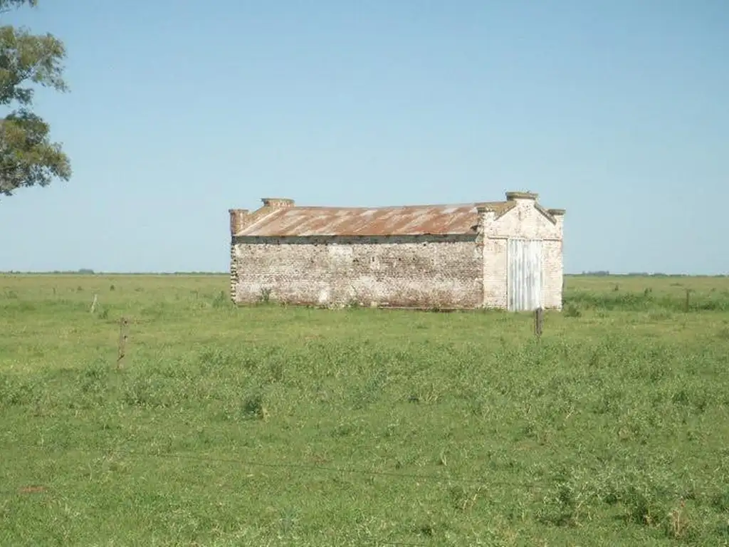 Excelente Campo en Venta - Tapalque