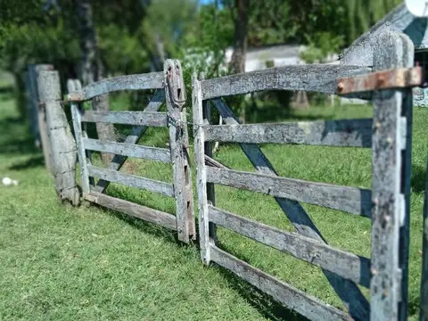 Buen campo  Agrícola- ganadero  de 28 hectáreas